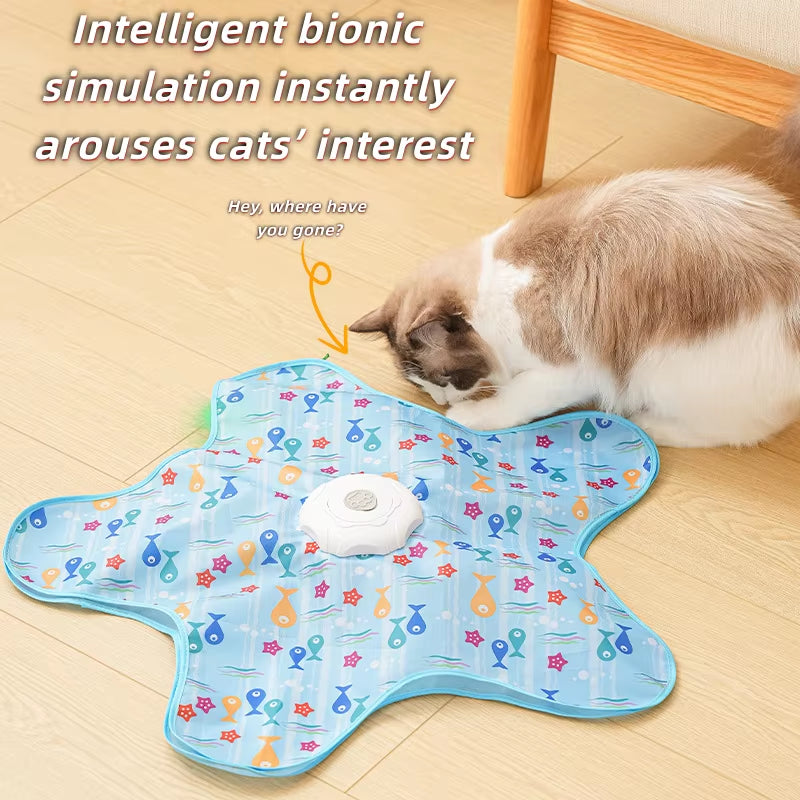 Cat Toys Interactive Hide and Seek Cat Toy with Mouse 