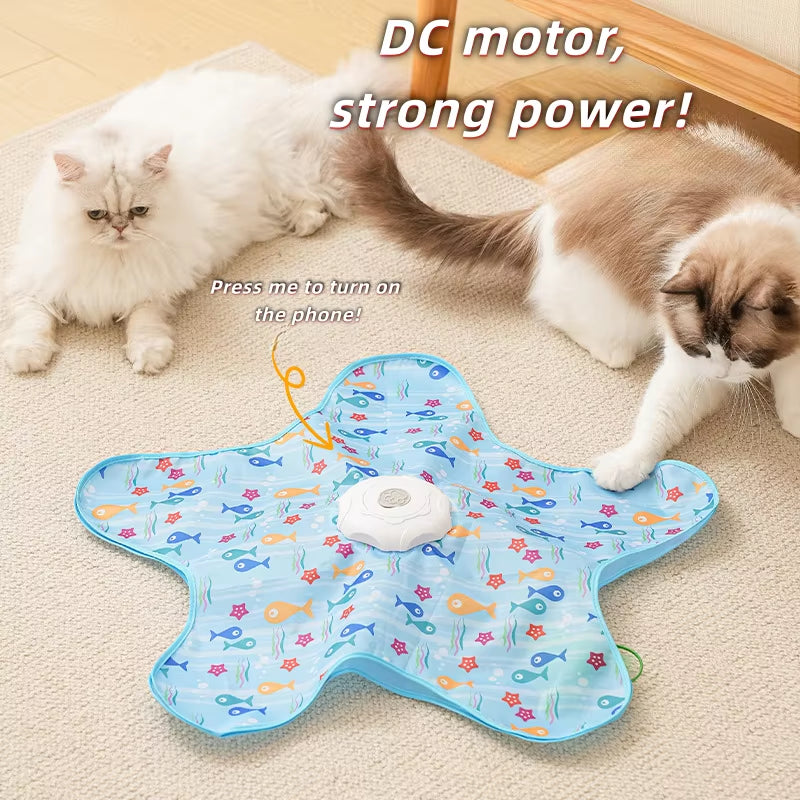 Cat Toys Interactive Hide and Seek Cat Toy with Mouse 