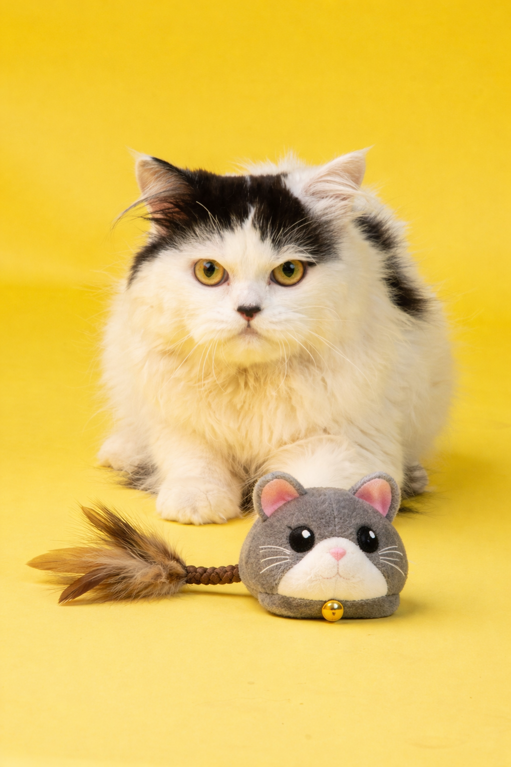 Laser Cat Collar Teasing Cat Electric USB Charging Kitten Automatic Cats Toy Smart Laser Teasing Cat Interactive Toy Hi Cat Toy