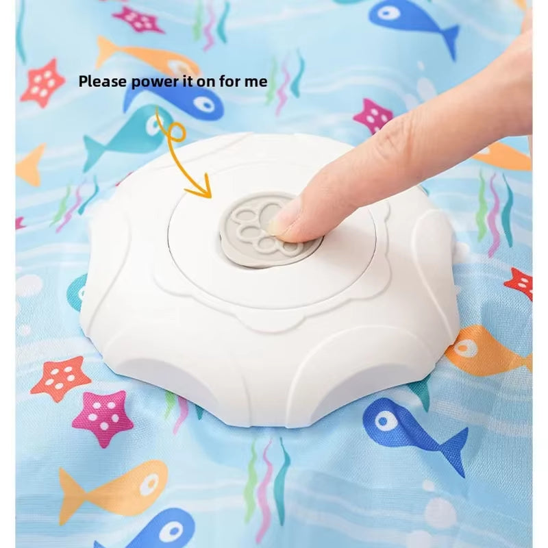 Cat Toys Interactive Hide and Seek Cat Toy with Mouse 